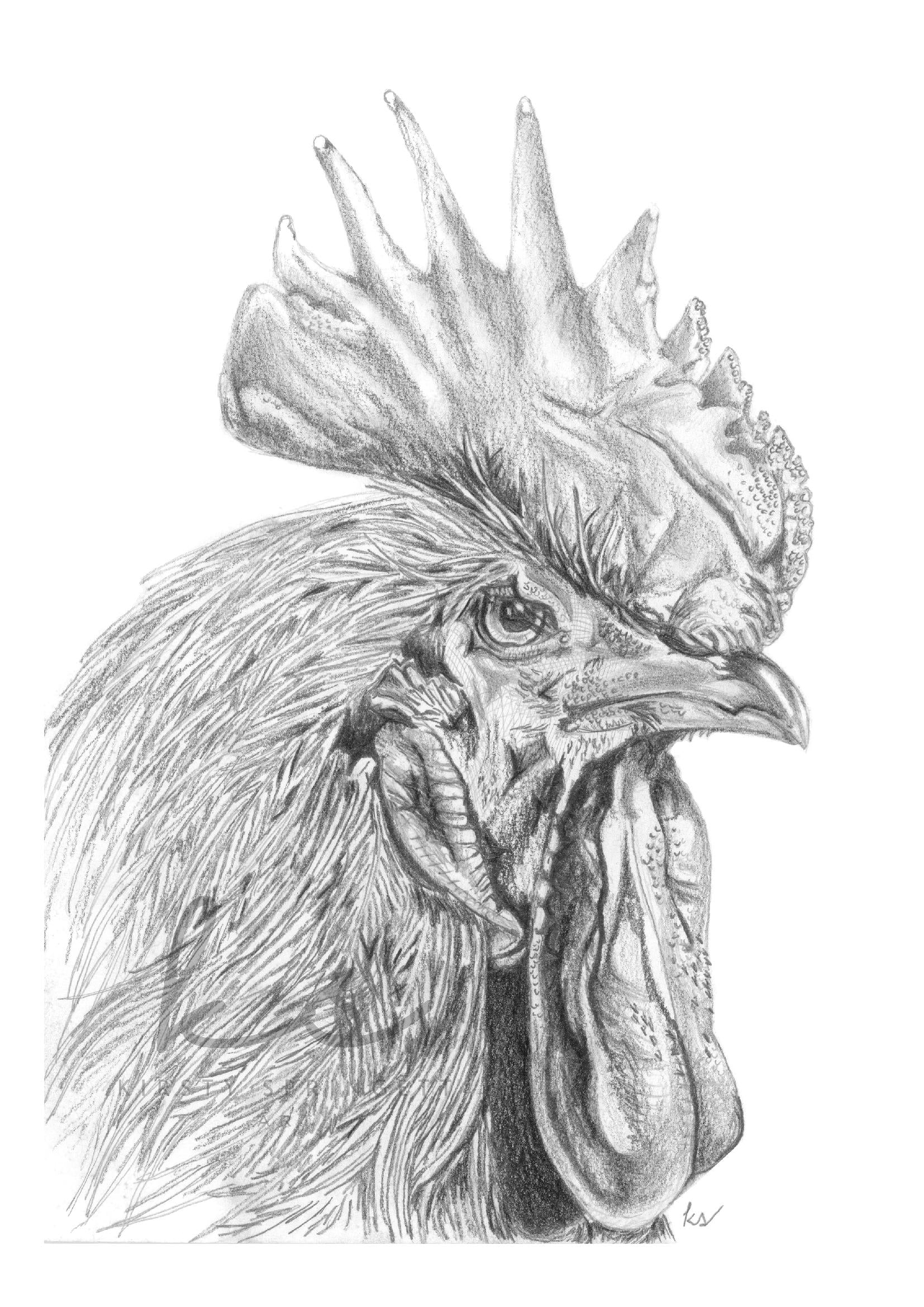 Monochrome Illustrations