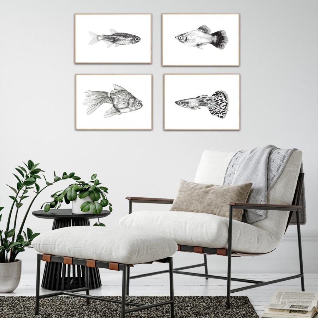 Freshwater Fish Collection (4 A4 Prints)
