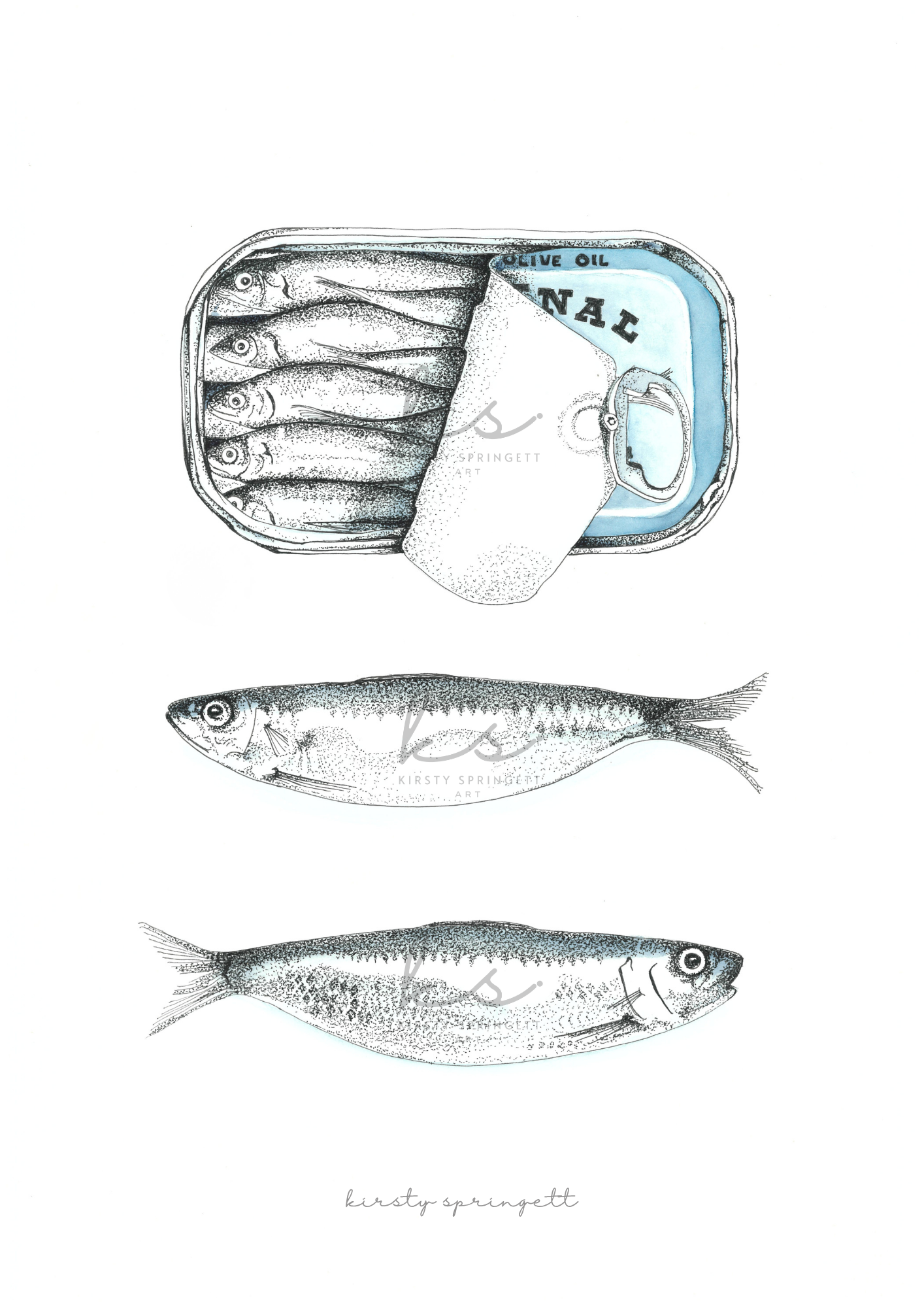 Sardine Study III Print