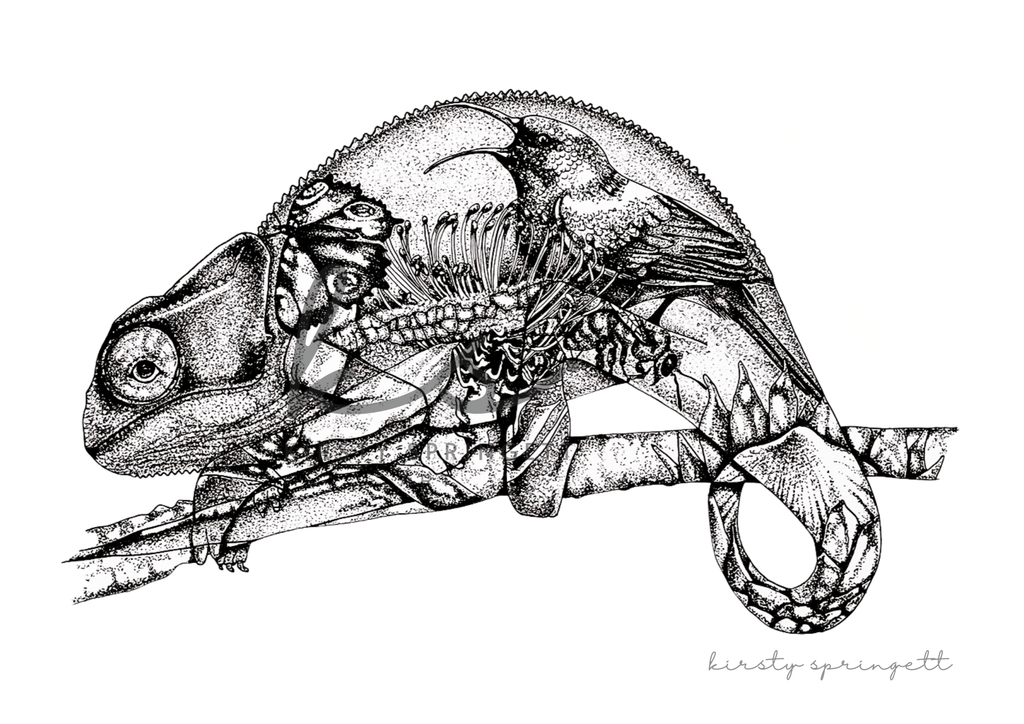 Chameleon Print