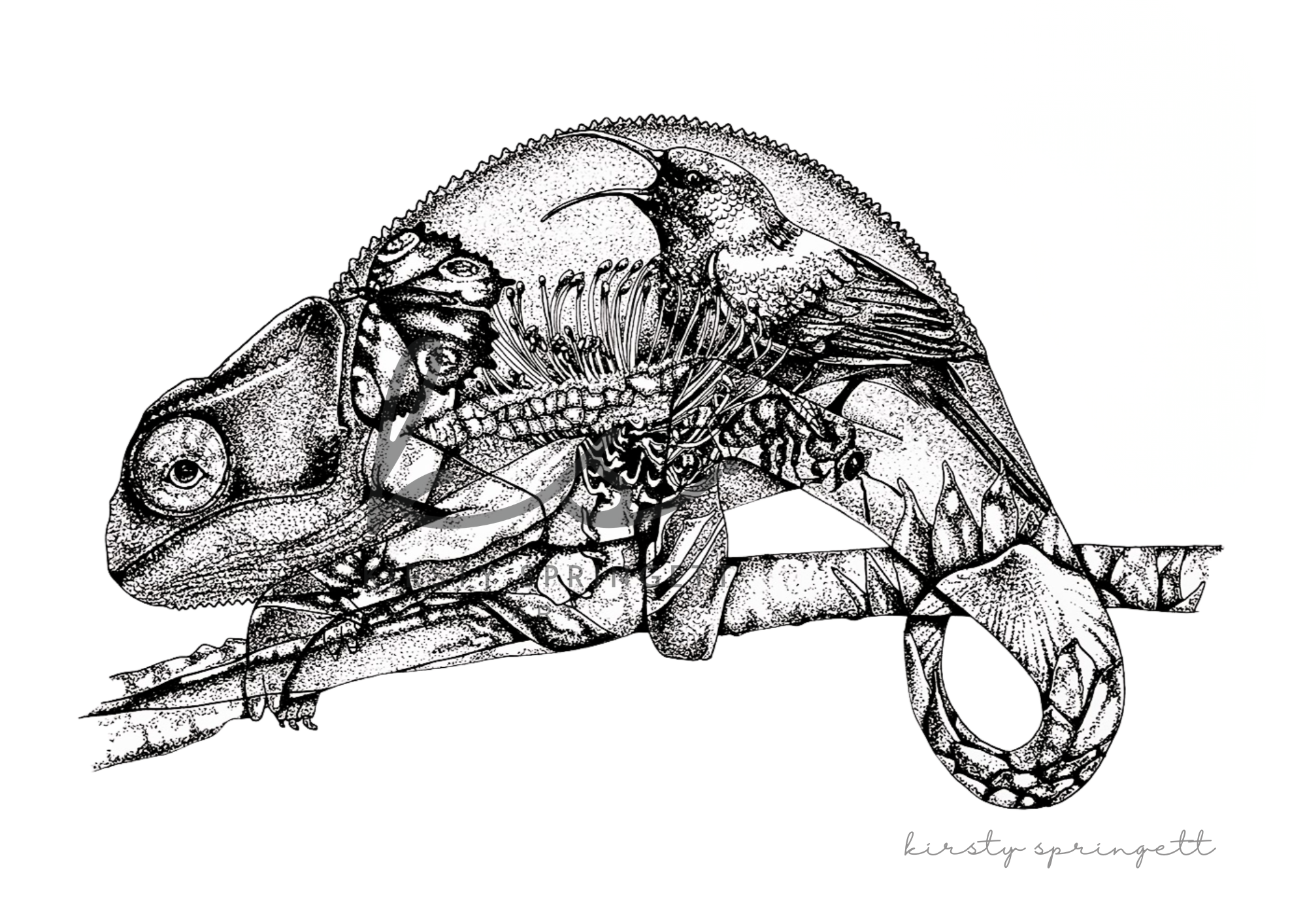 Chameleon Print