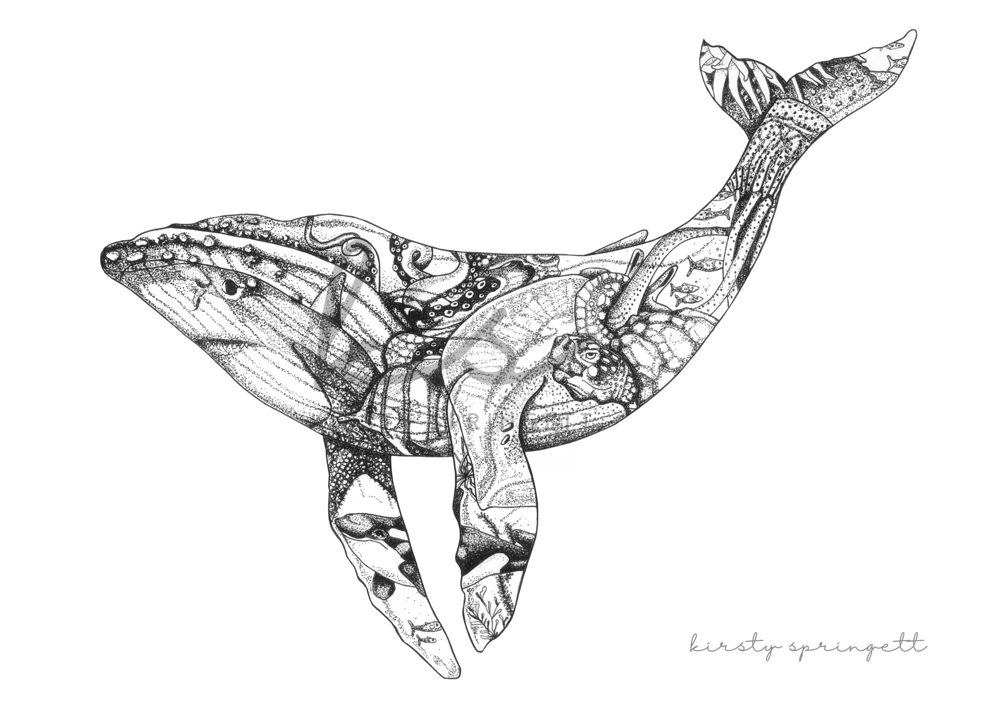 Whale Print