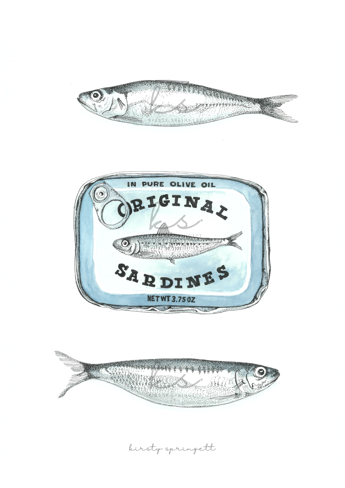 Sardine Study II Print