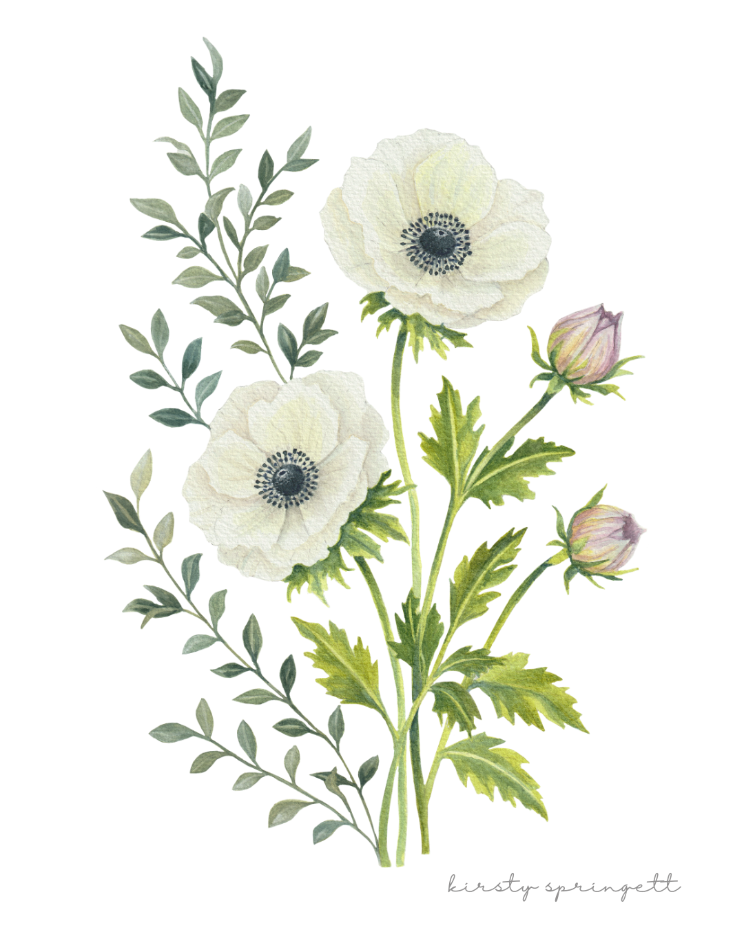Anemone Study Print