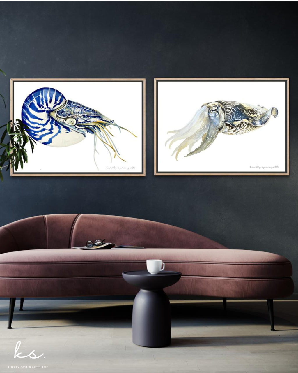 Nautilus