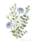 Scabiosa and Lisianthus Print