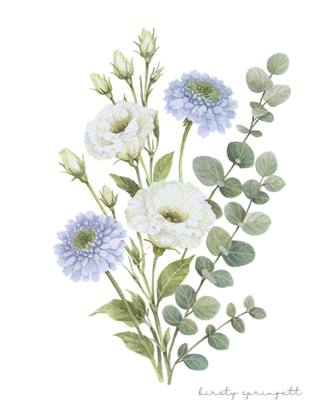 Scabiosa and Lisianthus Print