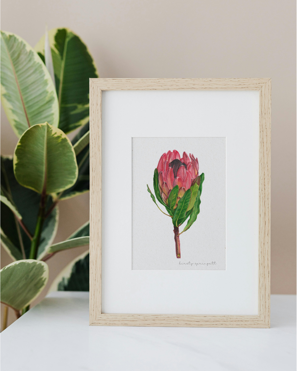 Pink Protea Bloom Print