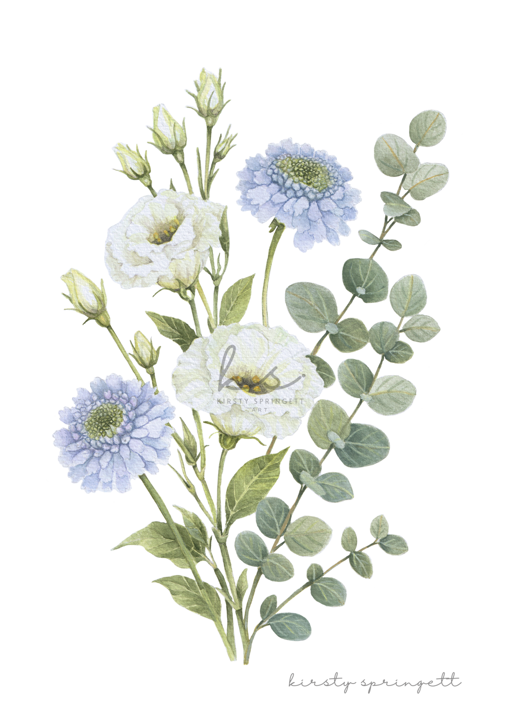 Scabiosa and Lisianthus Print