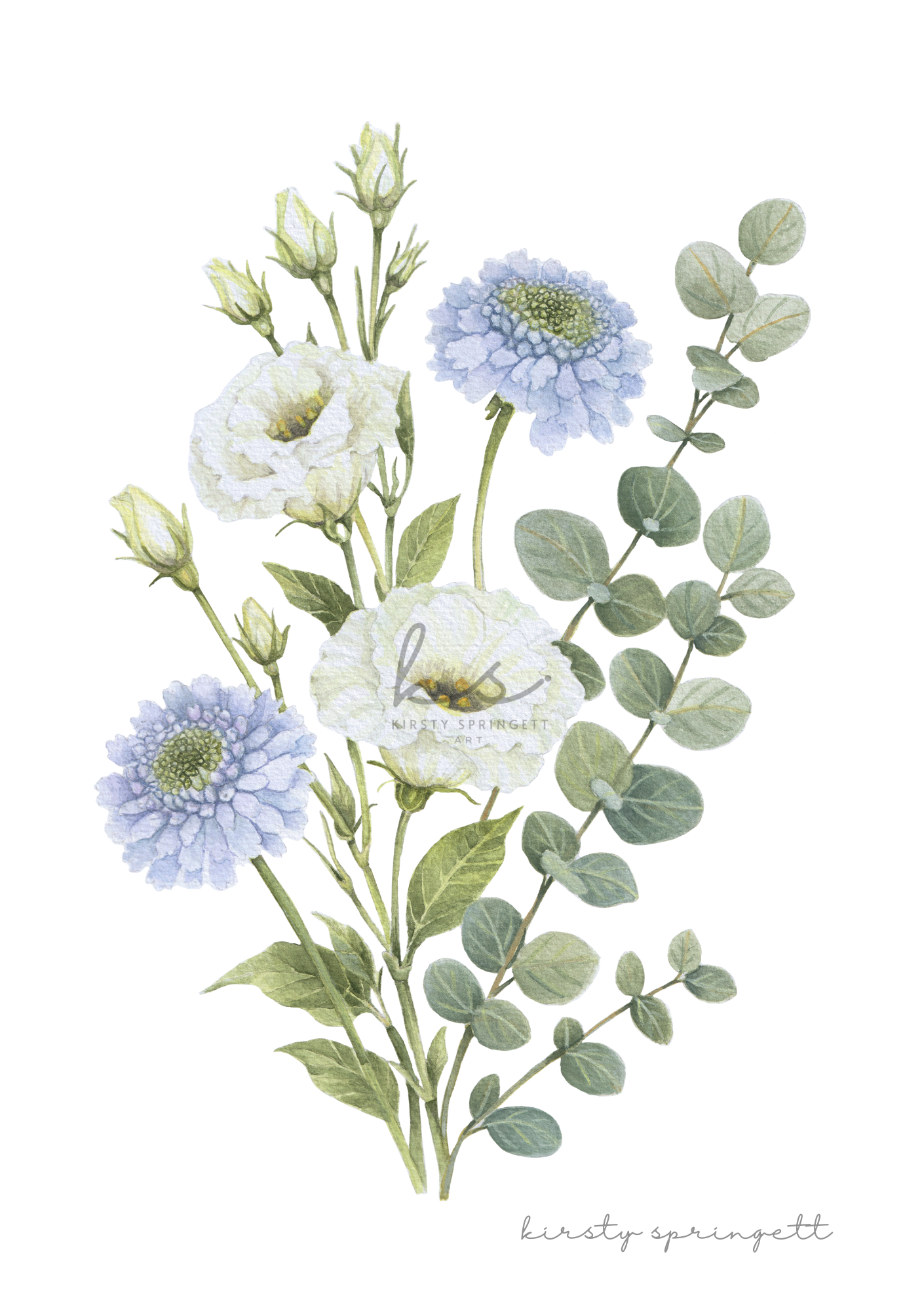 Scabiosa and Lisianthus Print