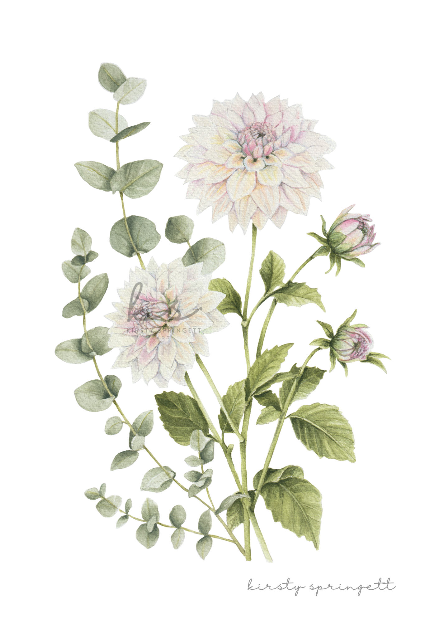 Dahlia and Eucalyptus Print