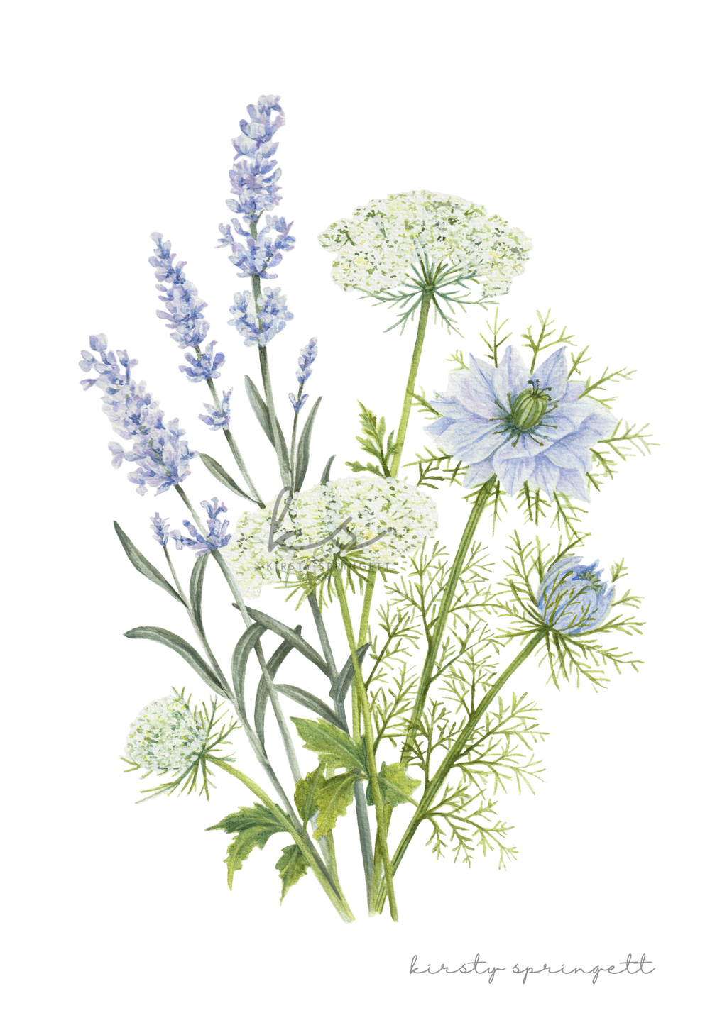Lavender and Wildflower Print