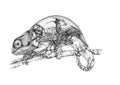 Chameleon Print