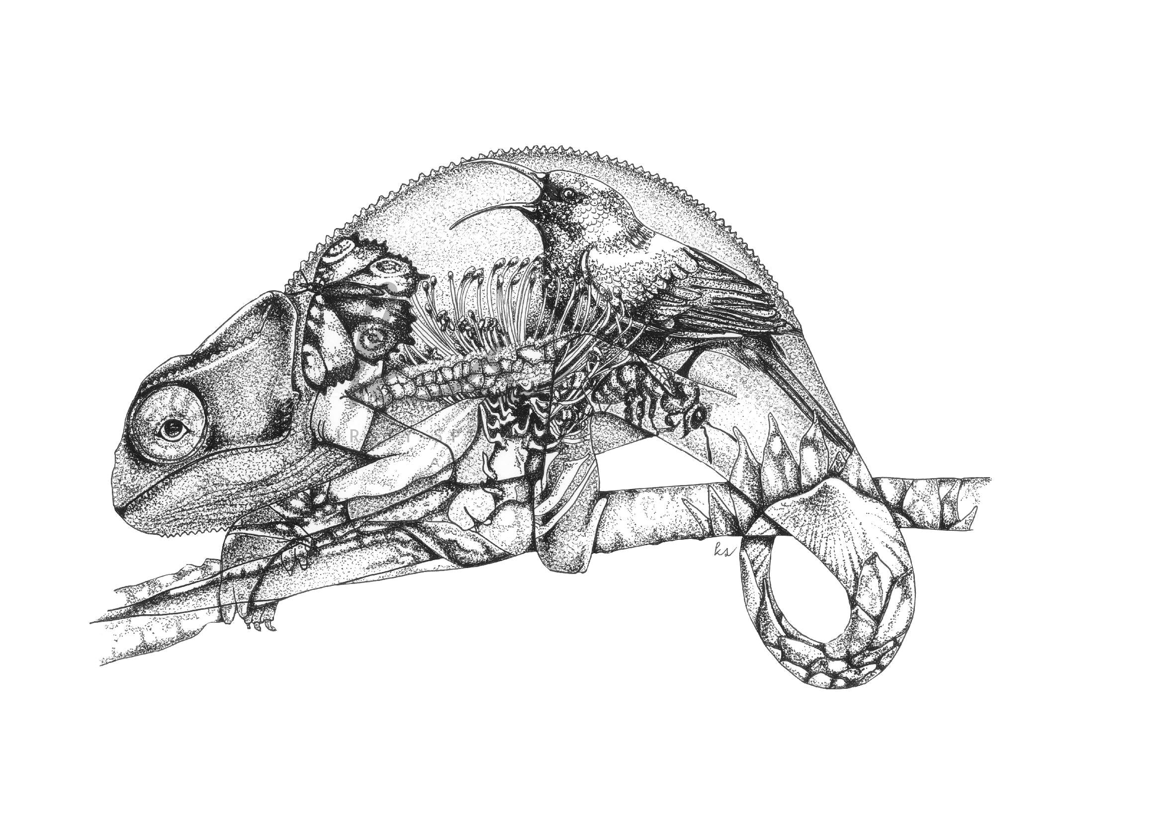 Chameleon Print