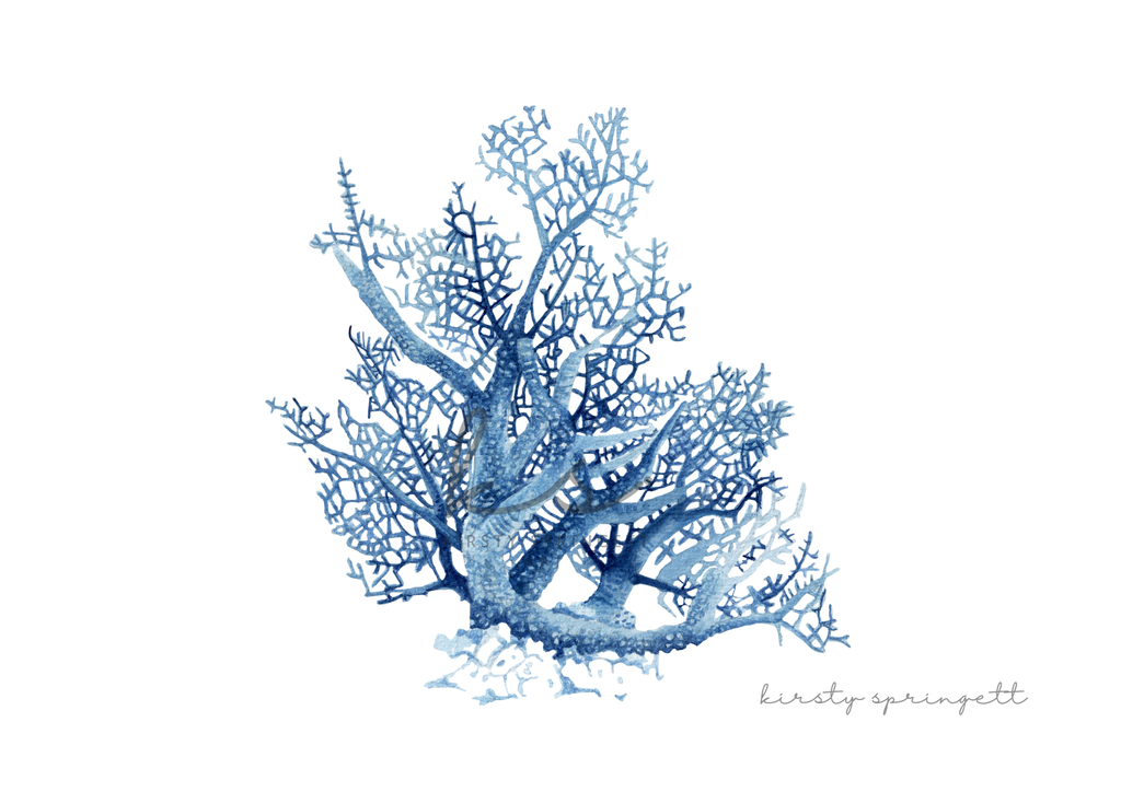 Coral Study II