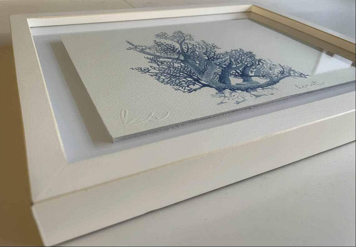 Coral Study I