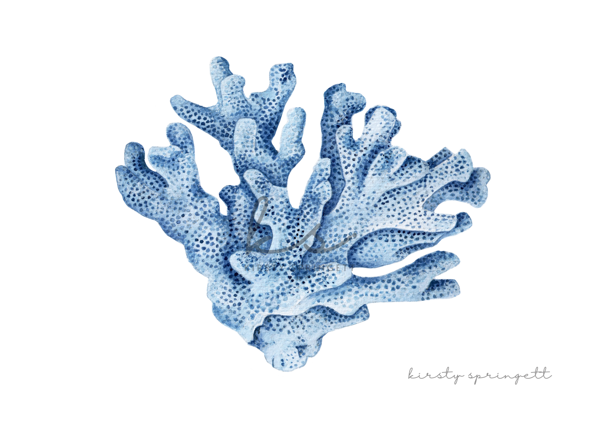 Coral Study I Print