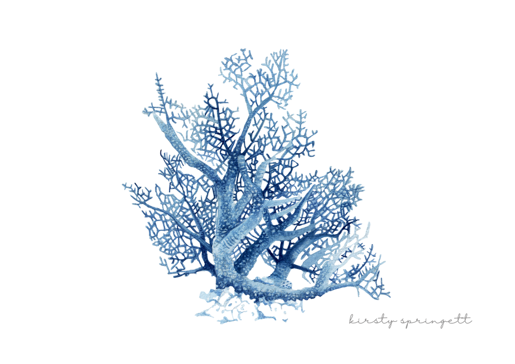 Coral Study II Print