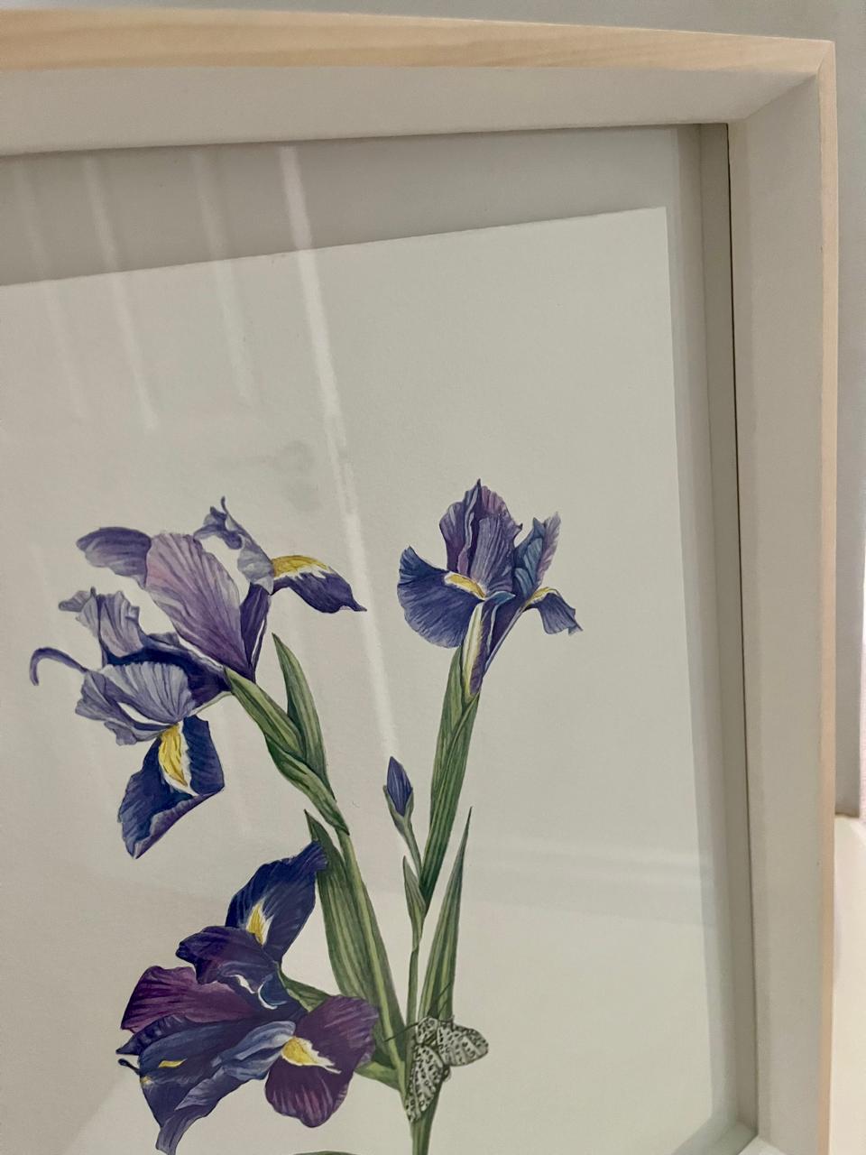 Purple Iris Original Artwork