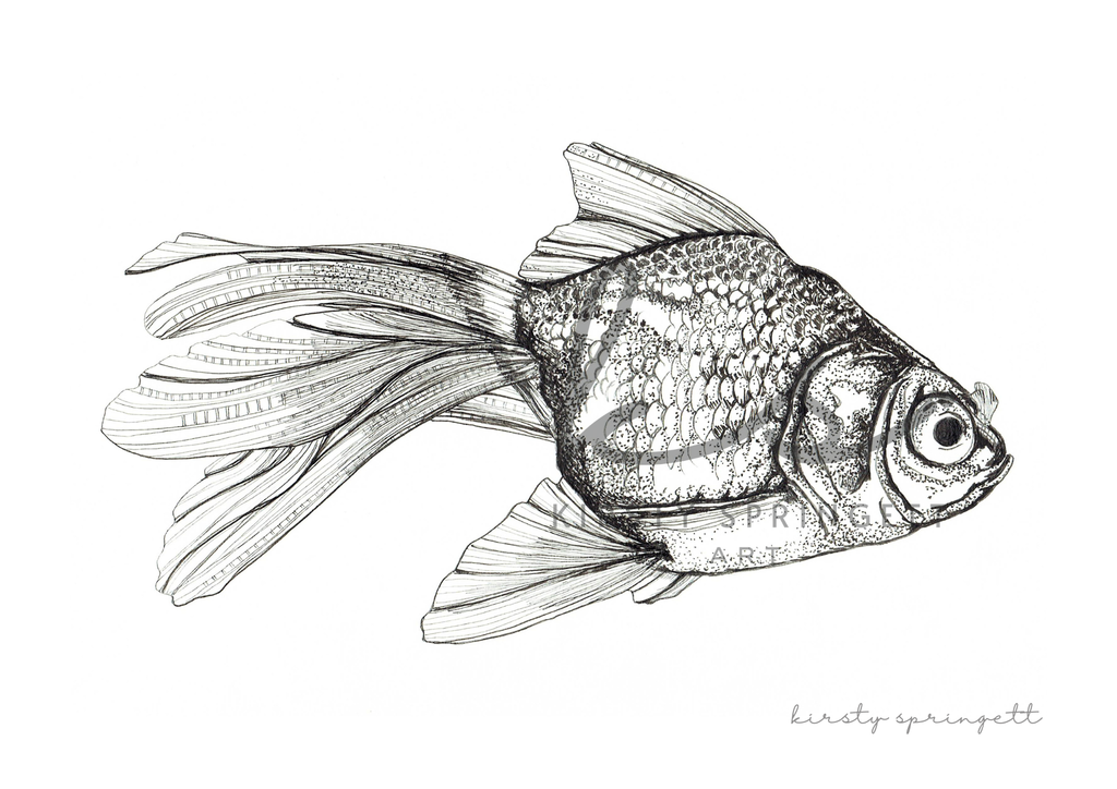 Goldfish