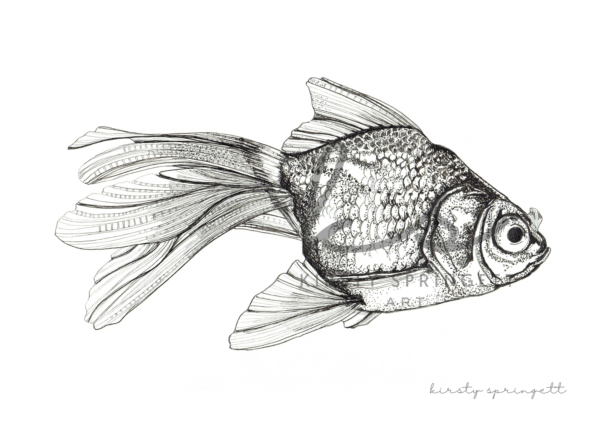 Goldfish