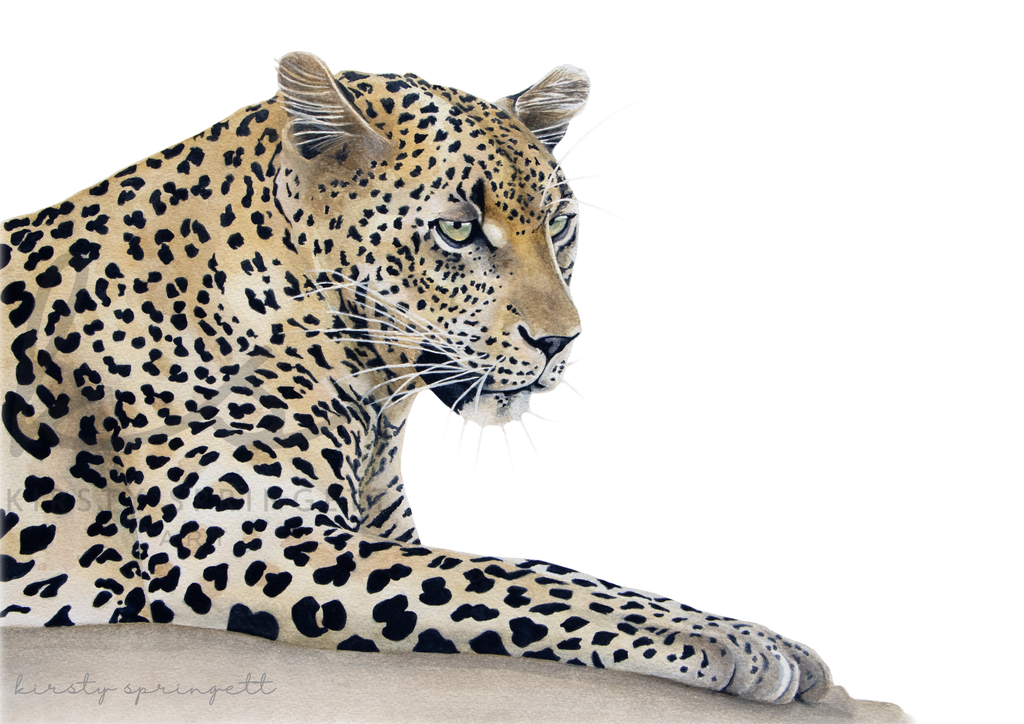 Majestic Hunter