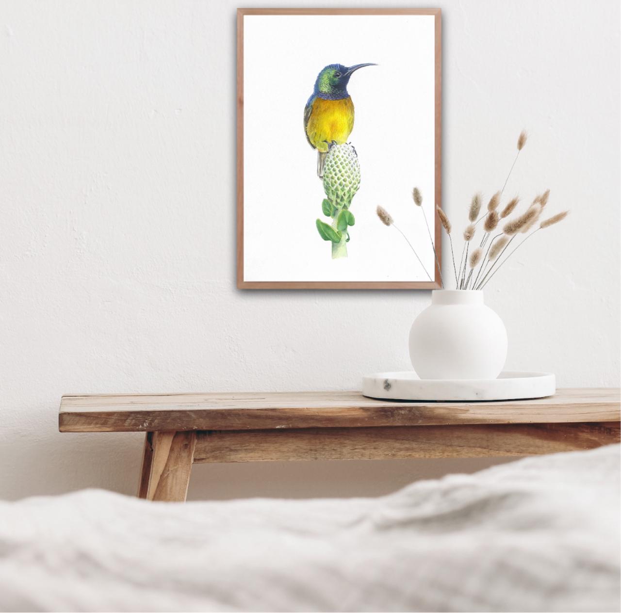 Orange Breasted Sunbird Original Artwork