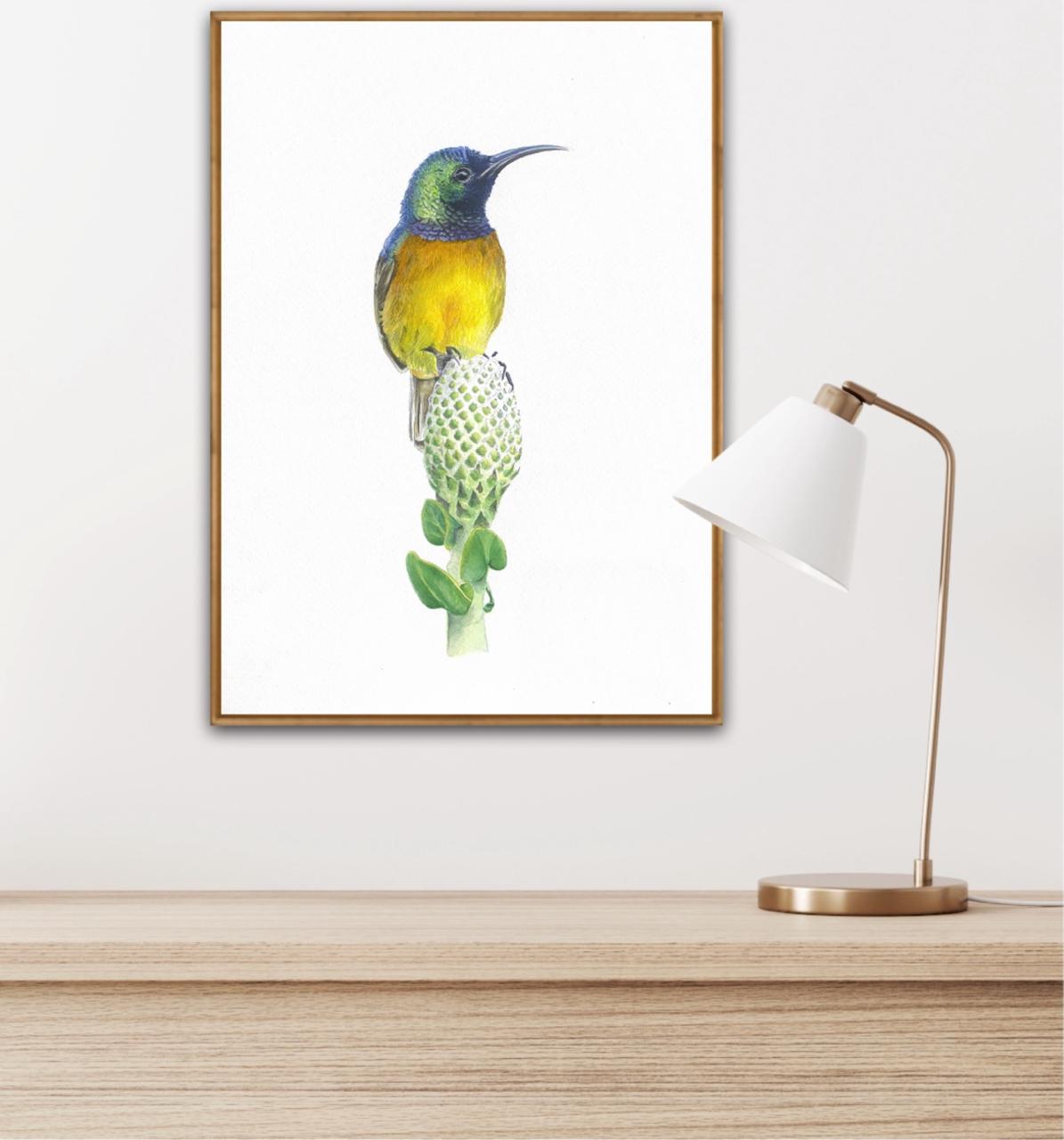 Orange Breasted Sunbird Original Artwork
