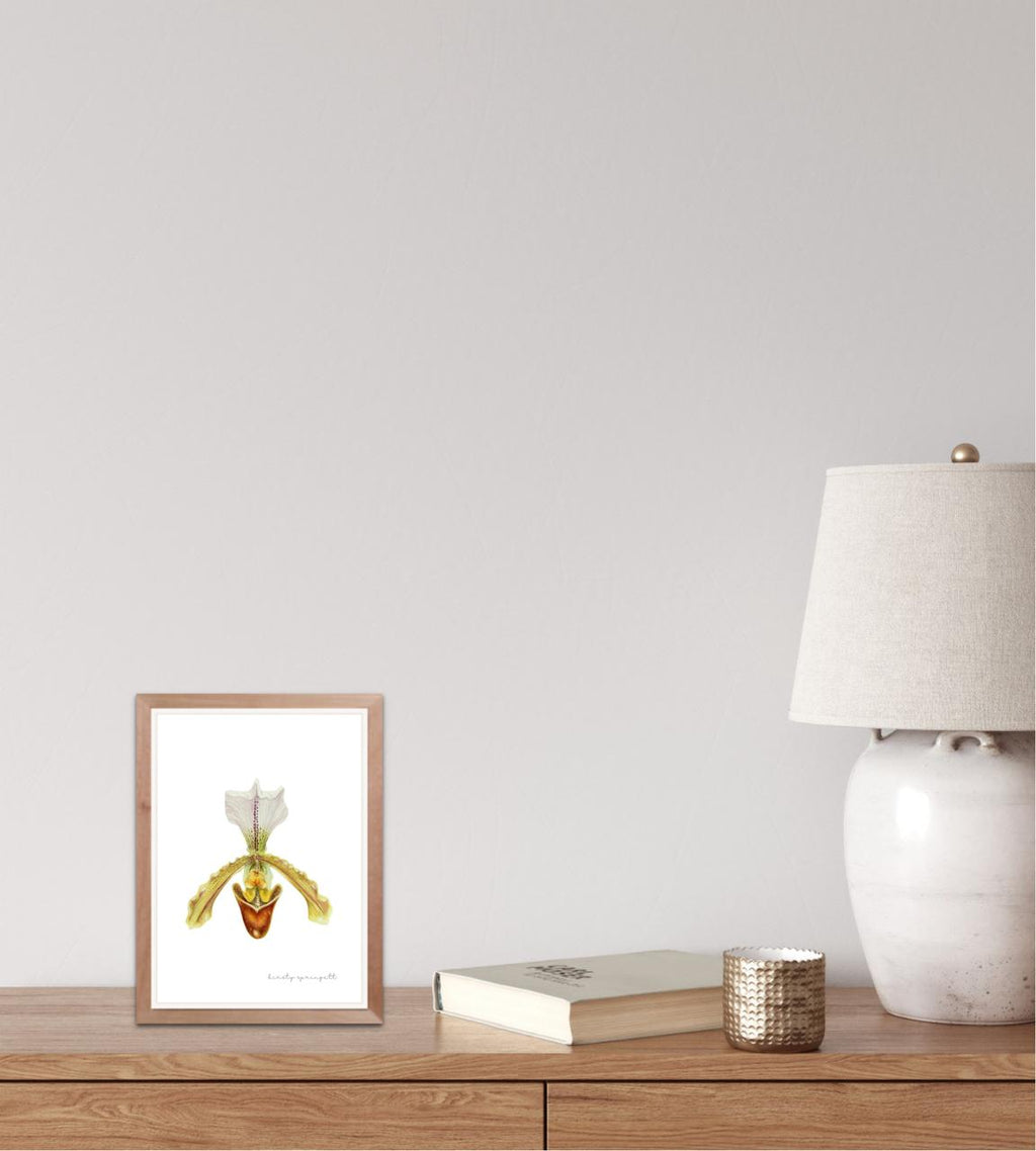 Slipper Orchid Print