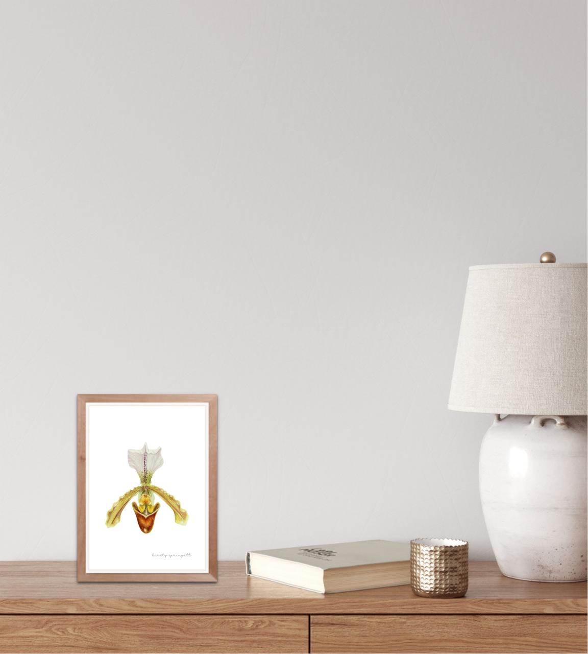 Slipper Orchid Print