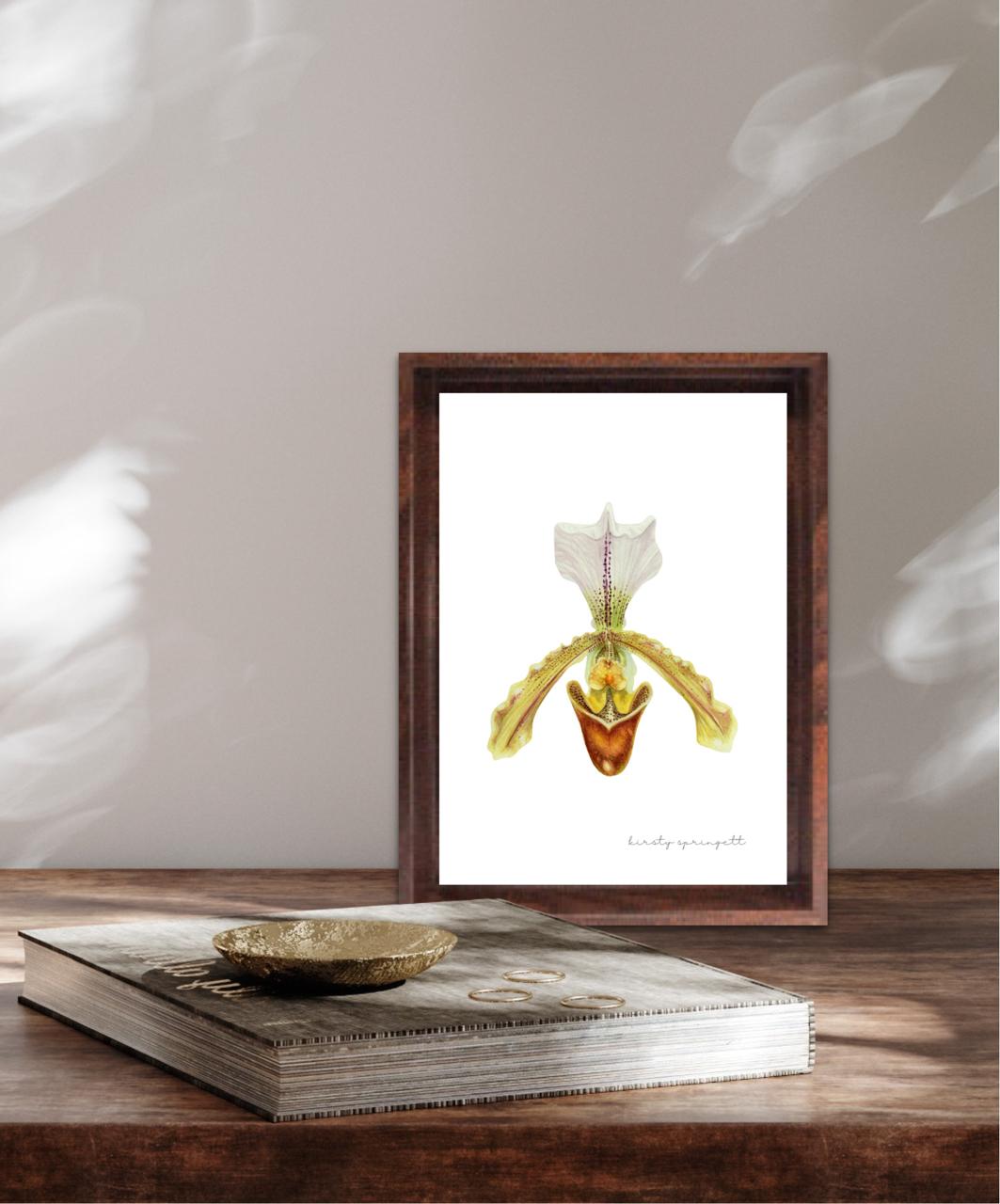 Slipper Orchid Print
