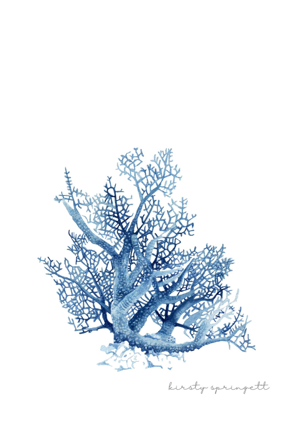 Coral Study II Print