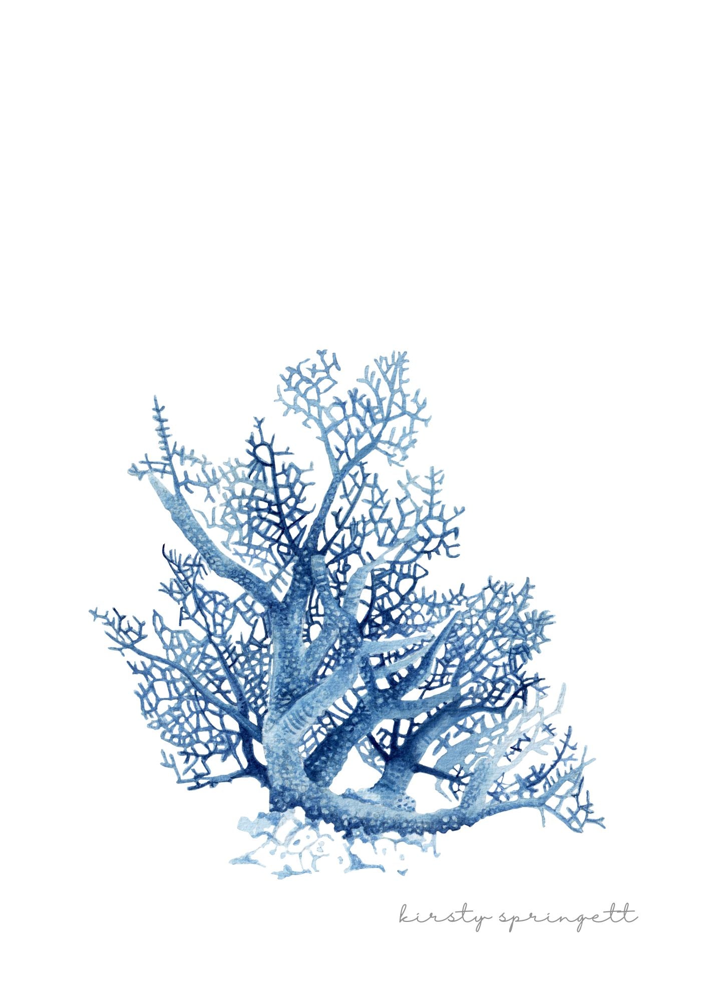Coral Study II Print