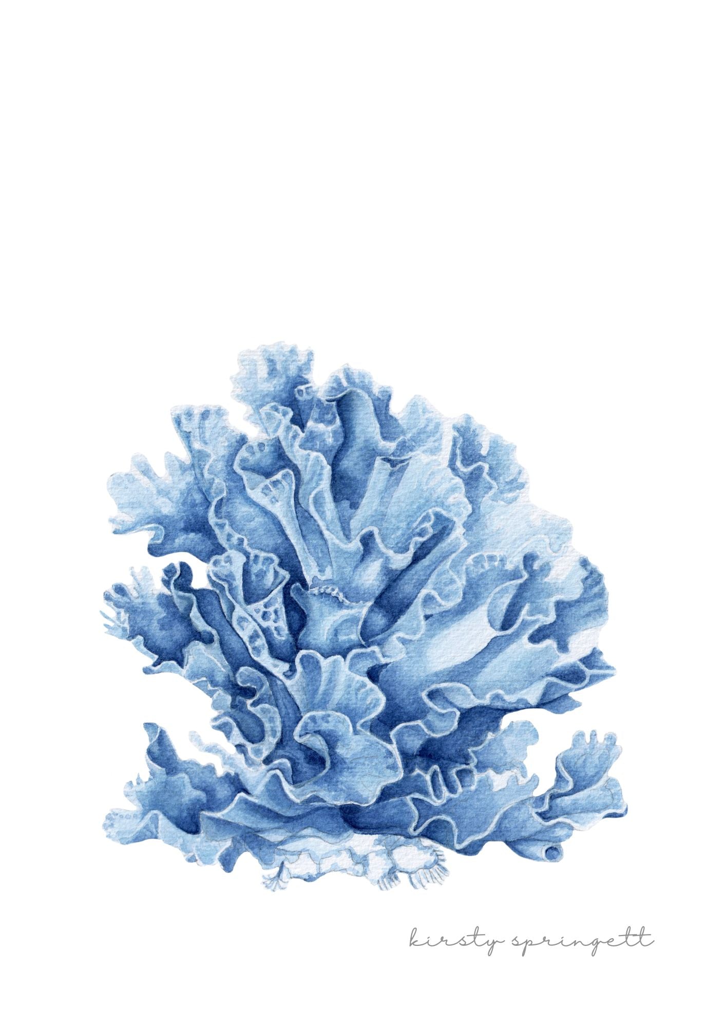Coral Study III Print