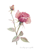 Rose Unfolded Original Artwork