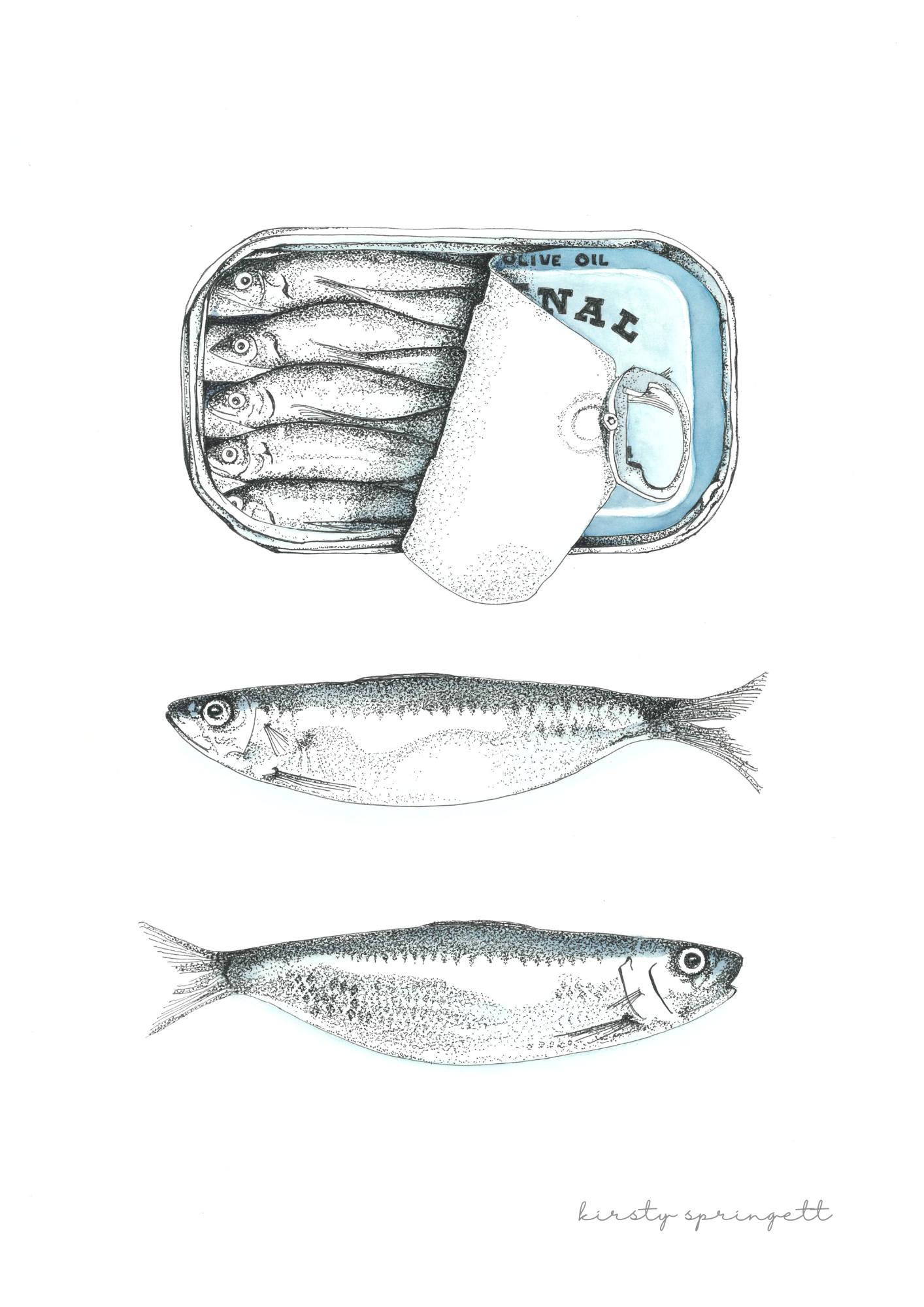 Sardine Study III