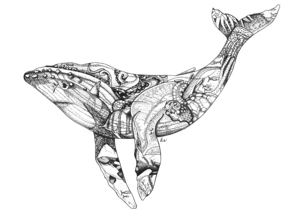 Whale Print