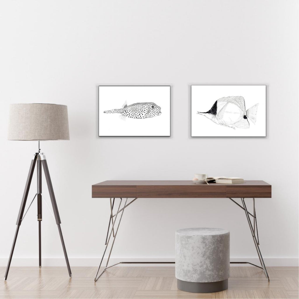 Copperband Butterflyfish Print
