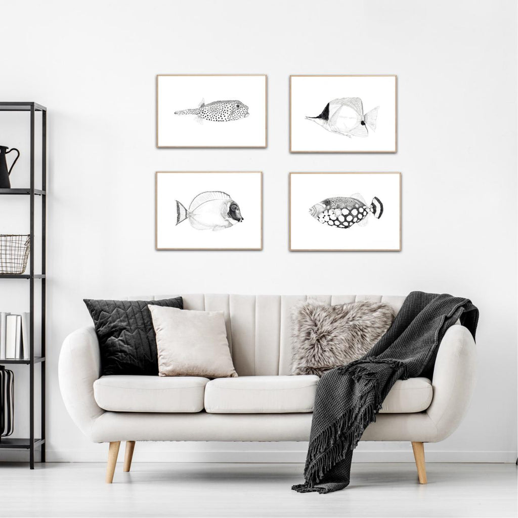 Powder Blue Surgeon Fish Print