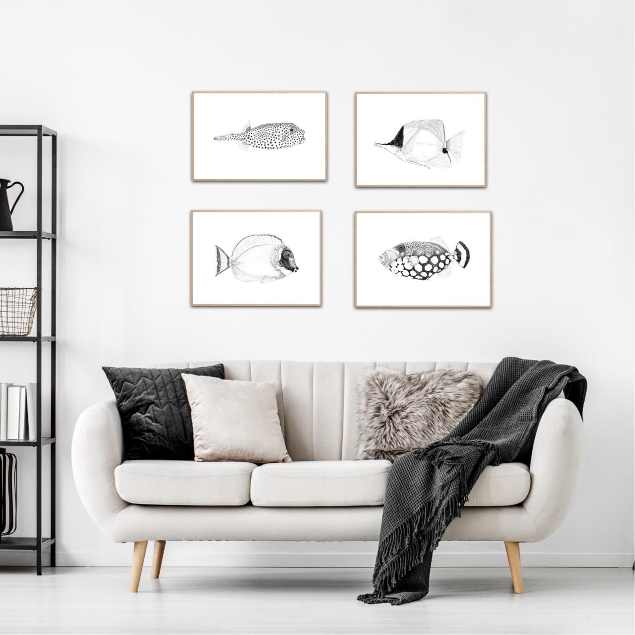 Clown Triggerfish Print