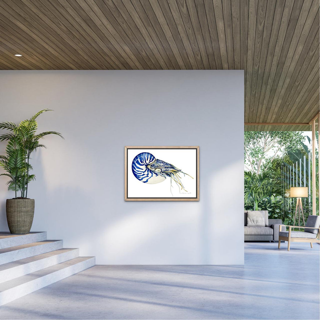 Nautilus