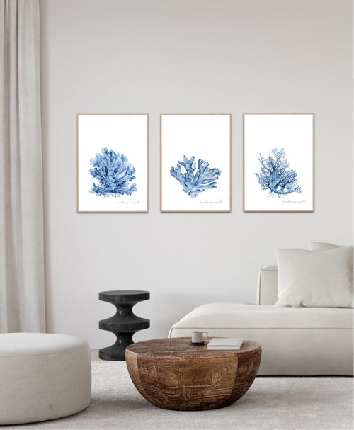 Coral Study II