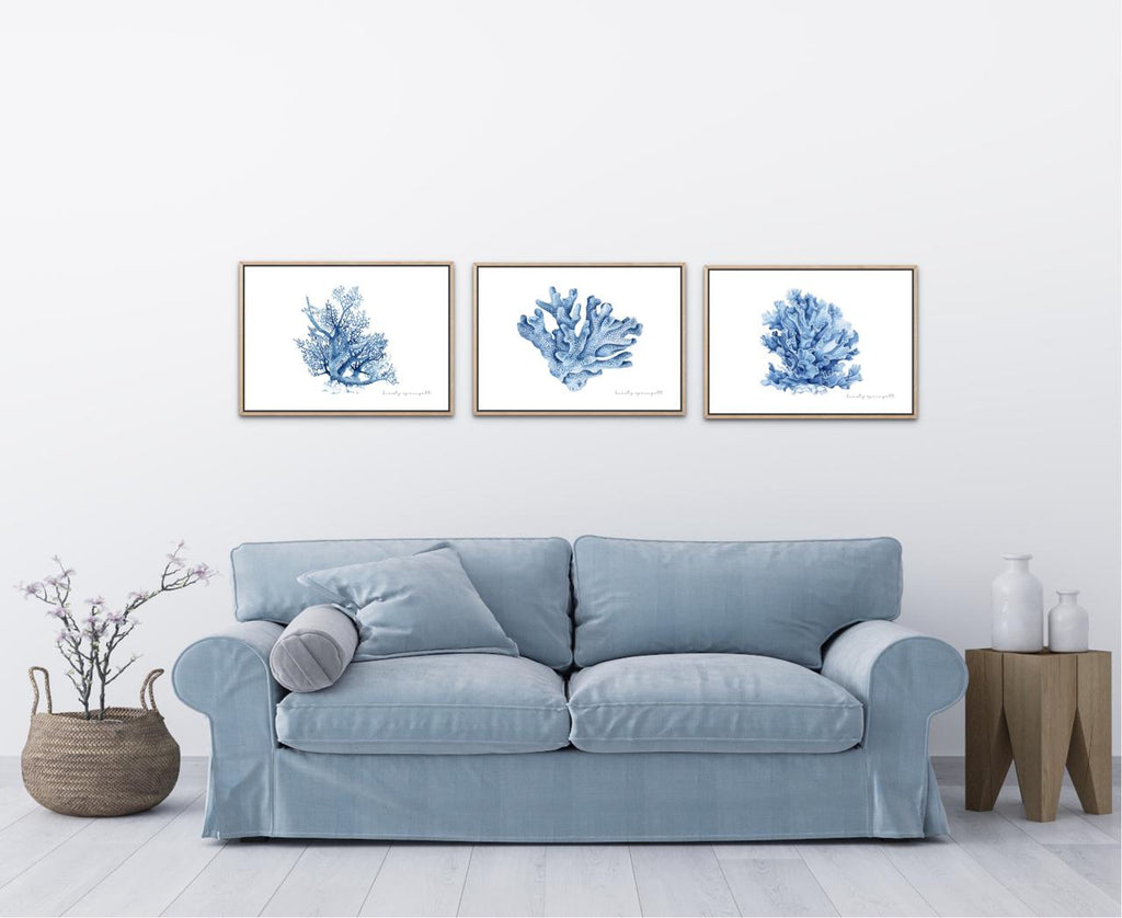 Coral Study II Print