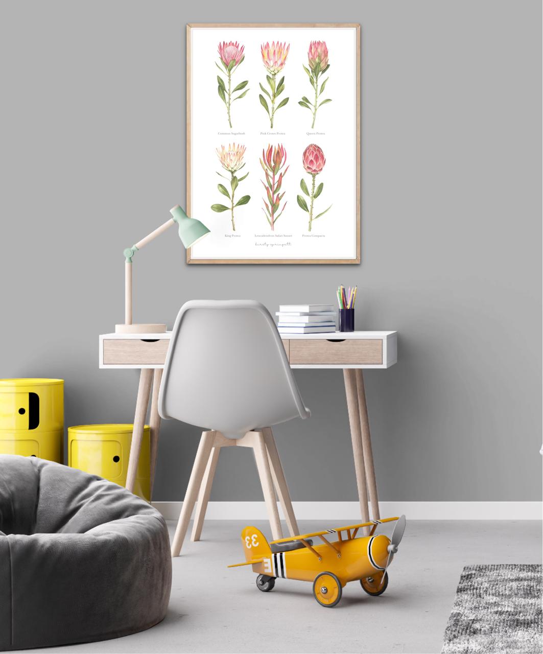 Proteas Print