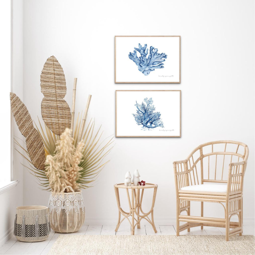 Coral Study II Print